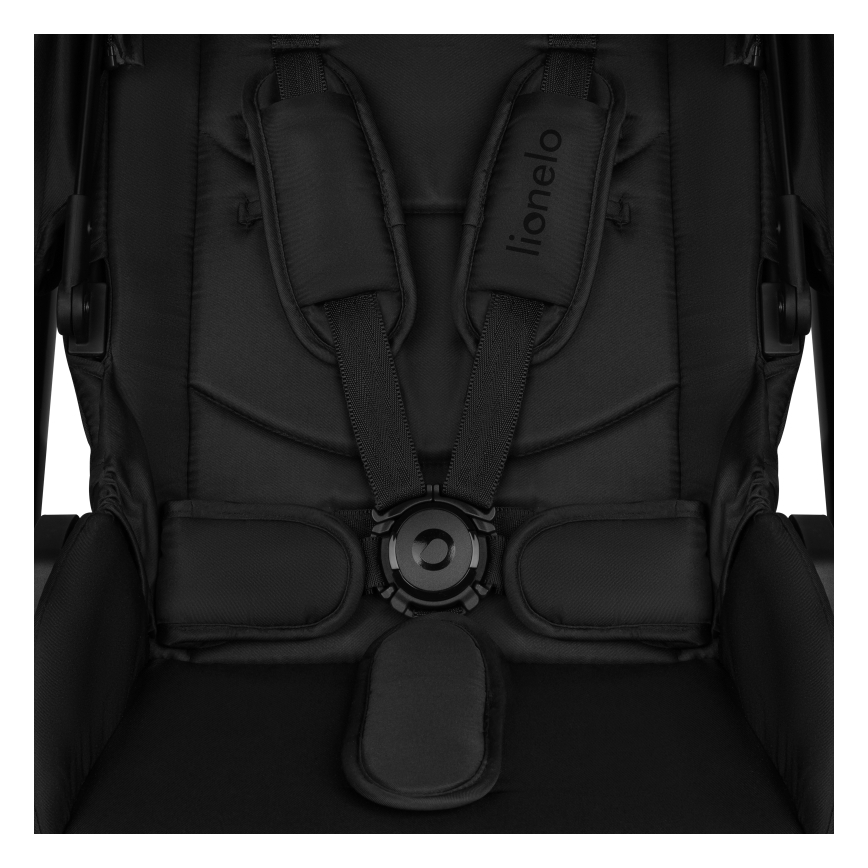 Lionelo - комбинированная коляска 2 в 1 LAYLA Black Onyx