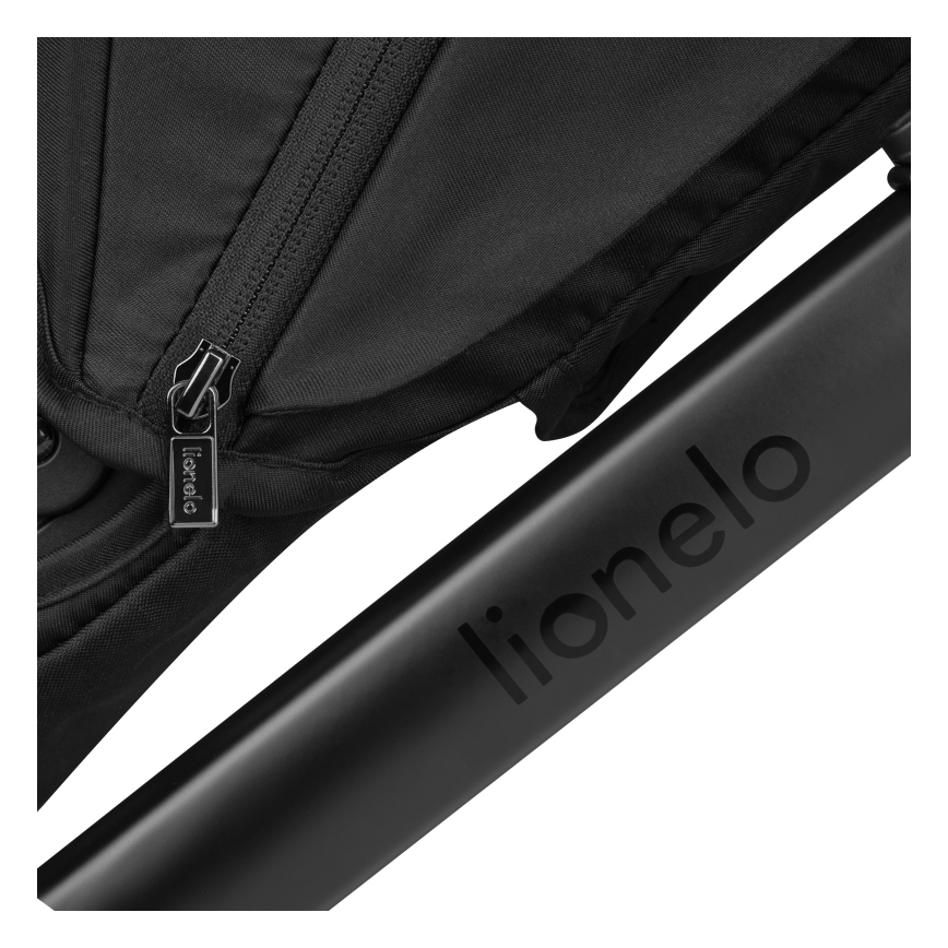 Lionelo - комбинированная коляска 2 в 1 LAYLA Black Onyx
