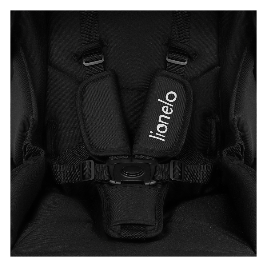 Lionelo - Комбинированная коляска 2 в 1 MERIL Black Onyx