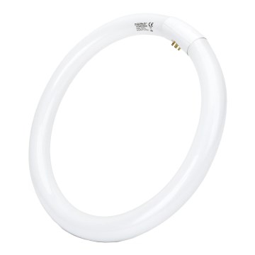 Люмінесцентна трубка T9 G10q/32W/230V 6500K - Aigostar