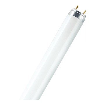 Люминесцентная лампа T8 G13/15W/55V 4000K 45 см - Osram