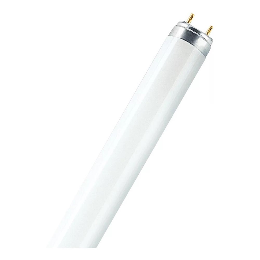 Люминесцентная лампа T8 G13/15W/55V 4000K 45 см - Osram