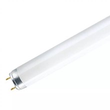 Люминесцентная лампа T8 G13/18W/230V 6500K 60 см