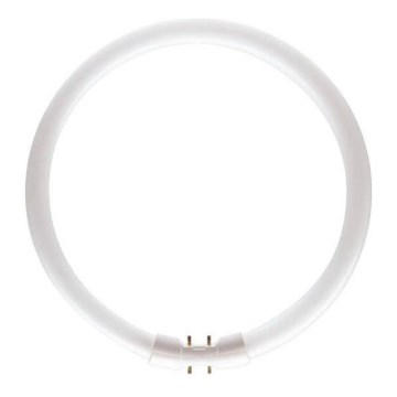 Люминесцентная трубка Philips MASTER 2GX13/55W/230V 3000K диаметр 30,5 см