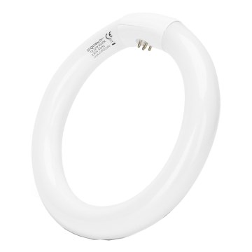 Люминесцентная трубка T9 G10Q/22 Вт/230 В 6500 К - Aigostar