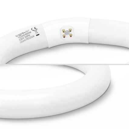 Люминесцентная трубка T9 G10Q/22 Вт/230 В 6500 К - Aigostar
