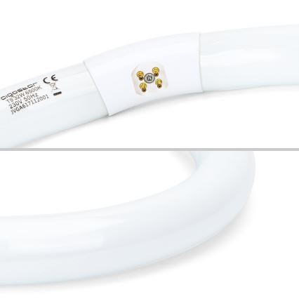 Люминесцентная трубка T9 G10q/32W/230V 6500K - Aigostar