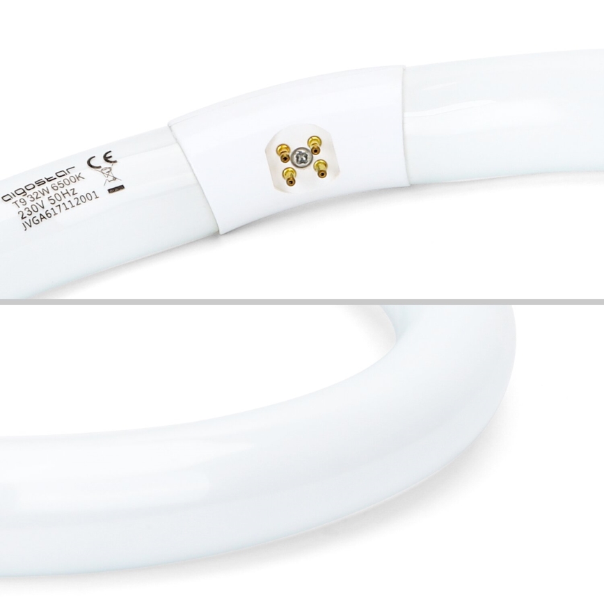 Люминесцентная трубка T9 G10q/32W/230V 6500K - Aigostar