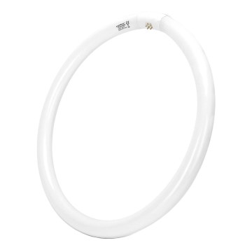 Люминесцентная трубка T9 G24q-1/40W/230V 6500K - Aigostar