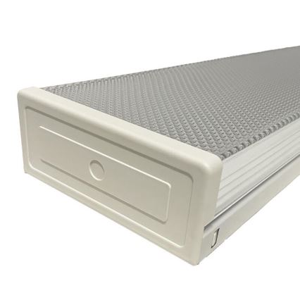 Люмінесцентний світильник T8 2xG13/18W/230V 124 см