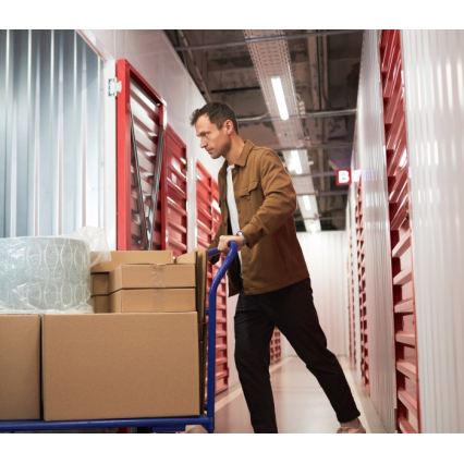 Люмінесцентний світильник T8 DELFIA 2xG13/18 Вт/230 В 124 см білий