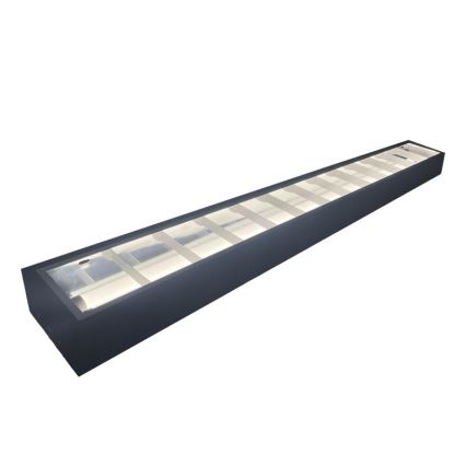 Люминесцентный светильник T8 2xG13/18W/230V 120 см черный