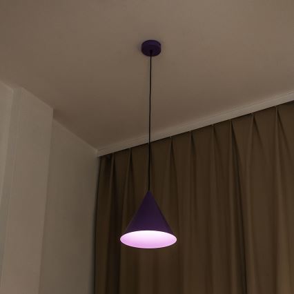 Люстра ETNA II на шнуре 1xE27/15W/230V, Ø 25 см, фиолетовая