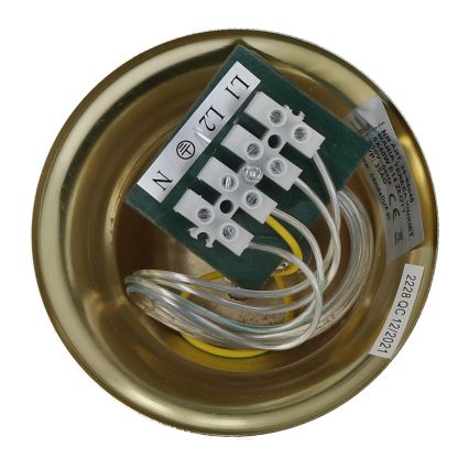 Люстра на ланцюгу MARIA TERESA 5xE14/40W/230V
