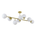 Люстра на штанге DORADO 8xE14/40W/230V золотая
