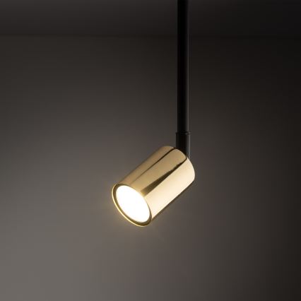 Люстра на штанзі до 1-фазної рейкової системи TOP 1xGU10/10W/230V золотий/чорний