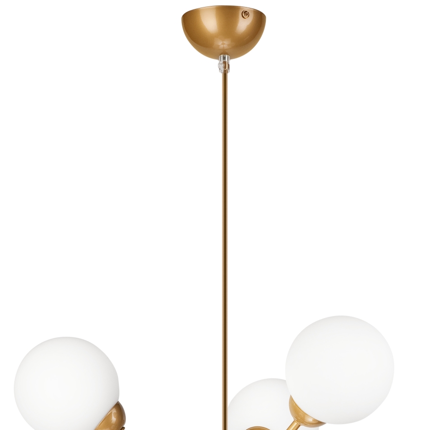 Люстра на штанзі RUBBY BALL 6xG9/5W/230V золотий