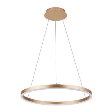 Люстра на тросе DONA LED/62W/230V ⌀ 80 см
