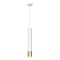 Люстра на тросе NEST 1xGU10/8W/230V белая/золотая