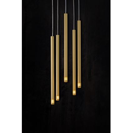 Люстра на тросе STALACTITE LASER 5xG9/2,5W/230V золотая