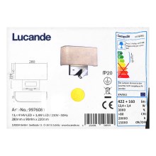 Lucande - Светодиодная настенная лампа VIRVE 1XLED/13,4W/230V + 1xLED/3,4W/230V