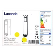 Lucande - Светодиодная уличная лампа CAIUS LED/12W/230V IP54