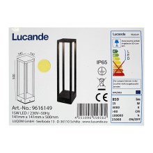 Lucande - Светодиодная уличная лампа CARLOTA LED/15W/230V IP65