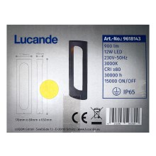 Lucande - Светодиодная уличная лампа FENTI LED/12W/230V IP65