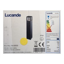 Lucande - Светодиодная уличная лампа NICOLA LED/7W/230V IP54