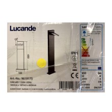 Lucande - Светодиодная уличная лампа SILVAN LED/12W/230V IP65