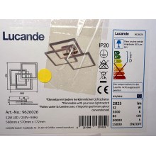 Lucande - Светодиодный потолочный светильник с регулированием яркости AVILARA LED/52W/230V