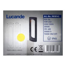 Lucande - Світлодіодна вулична лампа FENTI LED/12W/230V IP65