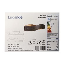 Lucande - Світлодіодний настінний світильник LIAN LED/9W/230V