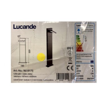 Lucande - Вулична світлодіодна лампа SILVAN LED/12W/230V IP65