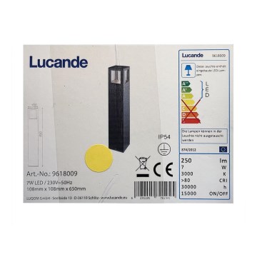 Lucande - Вулична світлодіодна лампа NICOLA LED/7W/230V IP54