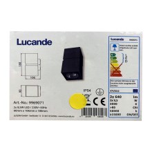 Lucande - Вуличний світлодіодний настінний світильник GABRIELA 2xLED/9,5W/230V IP54