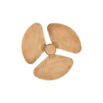 Lucci Air 21325549 - LED стельовий вентилятор SABLE з регульованою яскравістю 1xGX53/12W/230V 3000/4000/5000K діам. 91,5 cm коричневий + дистанційне керування