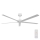 Lucci air 21616049 - Потолочный вентилятор MONZA IP55 белый + дистанционное управление