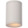 Lucide 27870/01/31 - Потолочный светильник для ванной комнаты TUBIX 1xE27/24W/230V IP54