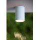 Lucide 27870/01/31 - Потолочный светильник для ванной комнаты TUBIX 1xE27/24W/230V IP54