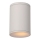 Lucide 27870/01/31 - Стельовий світильник для ванної кімнати TUBIX 1xE27/24W/230V IP54