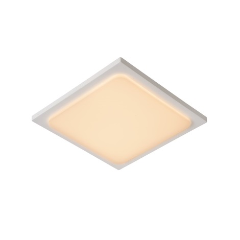 Lucide 28858/25/31 - Светодиодный светильник для ванной комнаты ORAS LED/20W/230V IP54 белый