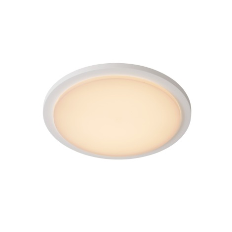 Lucide 28859/30/31 - Світлодіодне освітлення у ванній кімнаті ORAS LED/20W/230V білий IP54