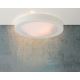 Lucide 79158/02/31 - Стельовий світильник для ванної кімнати FRESH 2xE27/20W/230V IP44