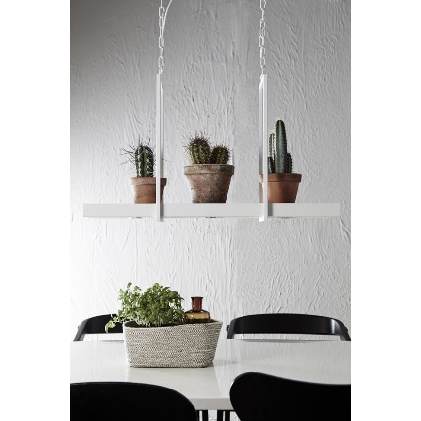 Markslöjd 106124 - Светодиодная диммируемая люстра на цепи TRAY 3xLED/3W/230V белая