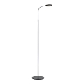 Markslöjd 106465 - Светодиодная напольная лампа FLEX LED/5W/230V