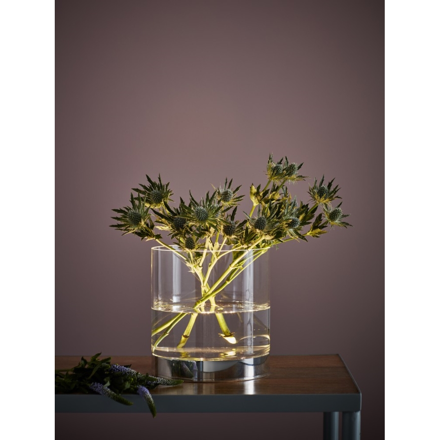 Markslöjd 107326 - LED Настільна лампа BOUQUET LED/3W/230V