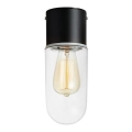 Markslöjd 107796 - Потолочный светильник для ванной комнаты ZEN 1xE27/15W/230V IP44