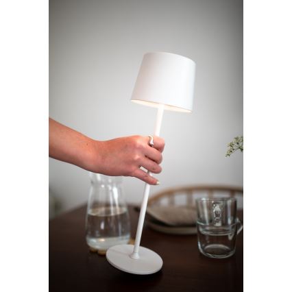 Markslöjd 108654 - Светодиодная аккумуляторная лампа с регулированием яркости FIORE LED/2W/5V IP44 38 см белый