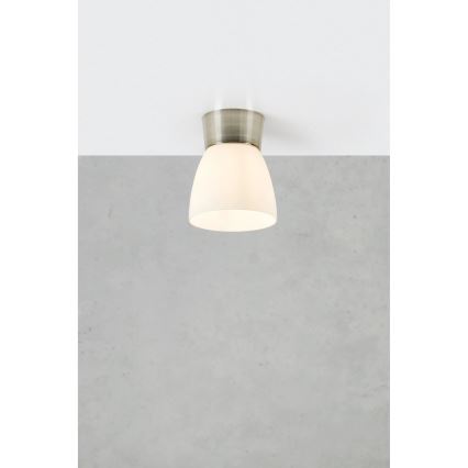 Markslöjd 109026 - Потолочный светильник для ванной комнаты NERJA 1xE27/40W/230V IP44 матовый хром